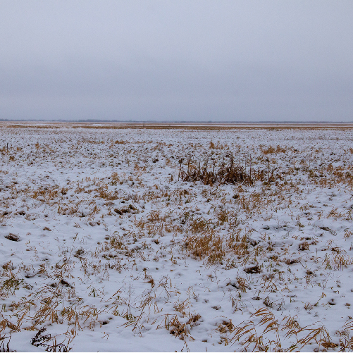 Photo by IlyaYurukin on PxHere