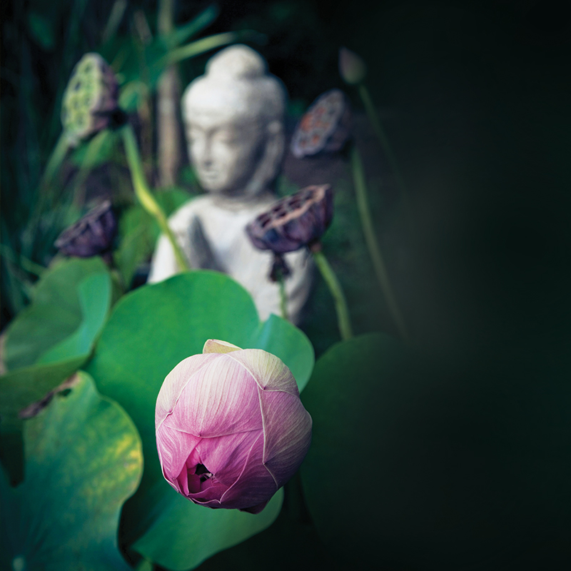 Photo by Sarah on Unsplash