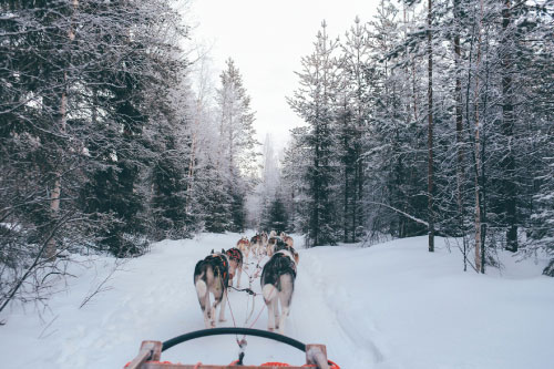 Photo by fox jia on Unsplash